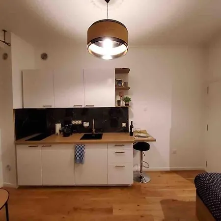 Du Theatre Rez De Chaussee Apartment